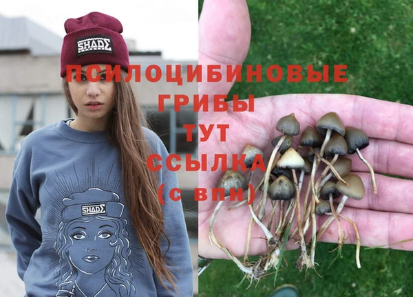 соль курить ск Беломорск