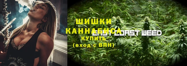 PSILOCYBIN Белоозёрский
