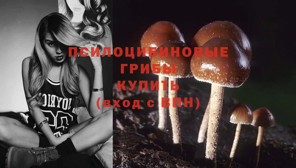хмурый Балабаново