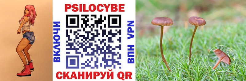 Галлюциногенные грибы мицелий Купить где Верхний Уфалей